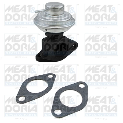 EGR Valve